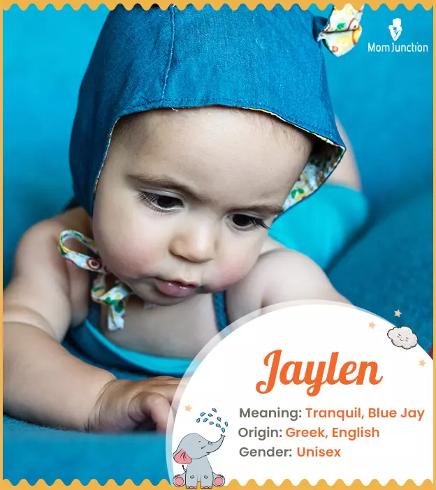 jaylen: Name Meaning, Origin, History, And Popularity | MomJunction