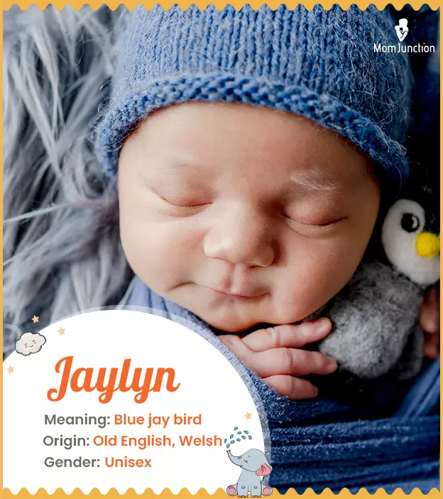 Jaylyn, meaning jayb