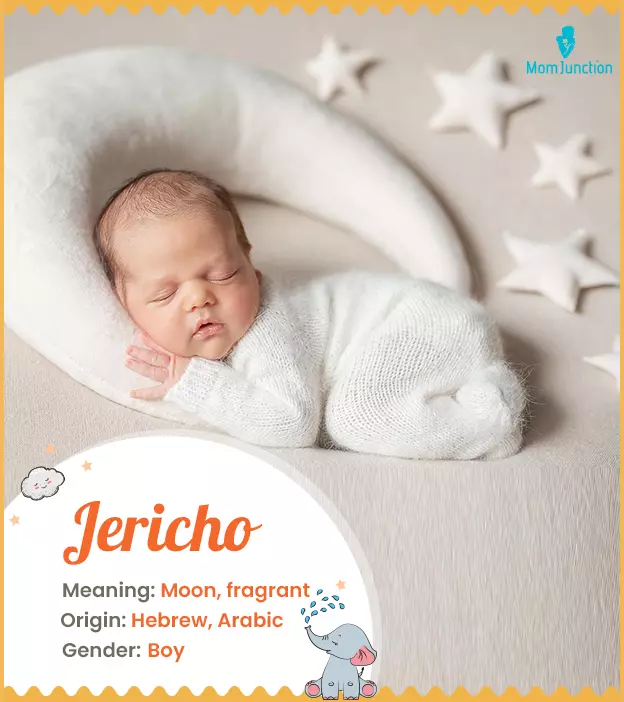 jericho: Name Meaning, Origin, History, And Popularity | MomJunction