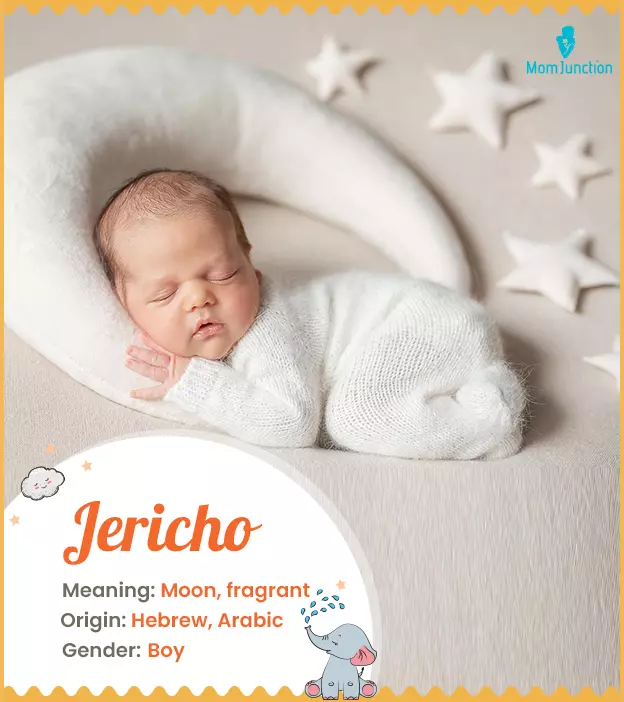 Jericho Name Meaning, Origin, History, And Popularity_image