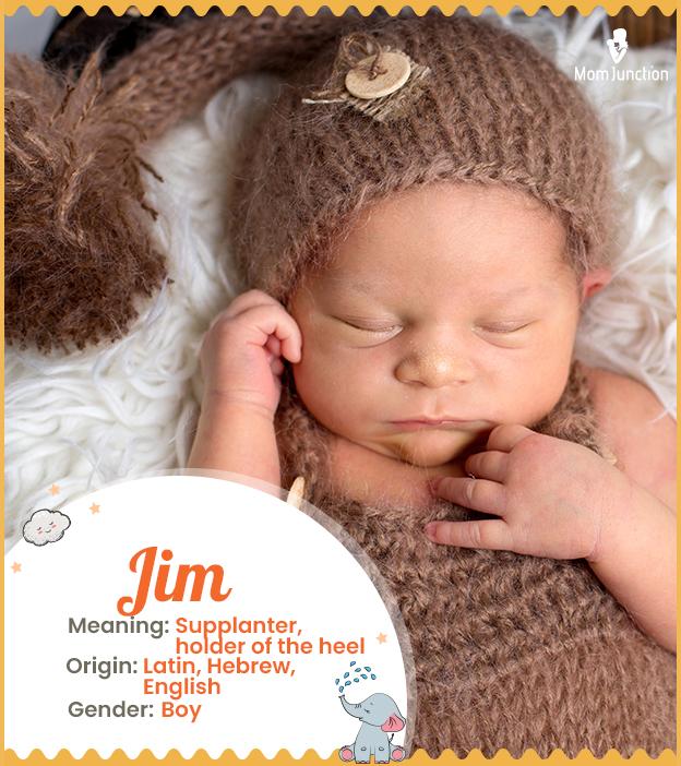 Jim Name Meaning, Origin, History, And Popularity_image