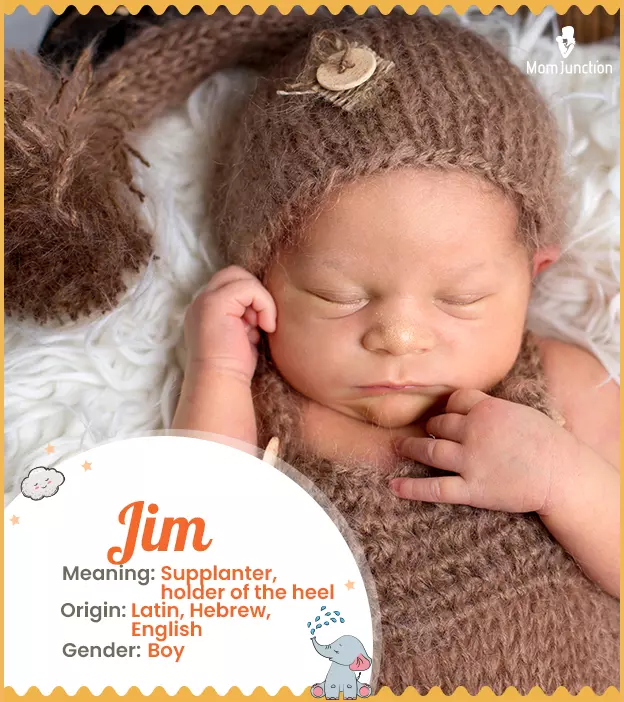 Jim: Name Meaning, Origin, History, And Popularity | MomJunction