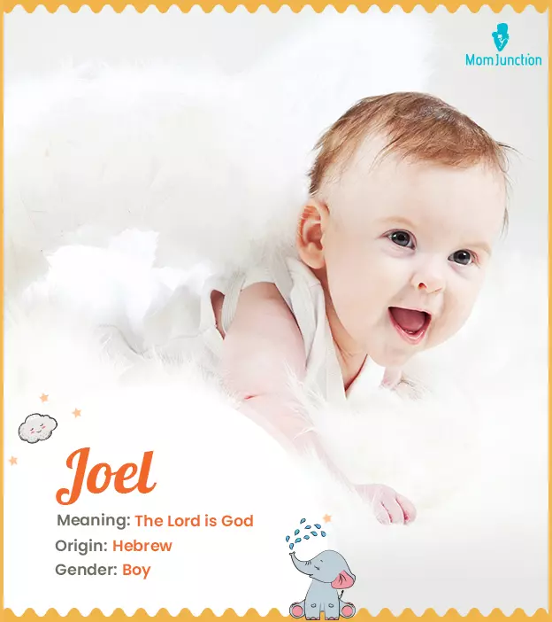 joel: Name Meaning, Origin, History, And Popularity_image