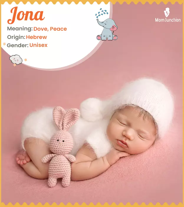 Jona Name Meaning, Origin, History, And Popularity_image