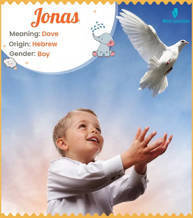 Jonas Name, Meaning, Origin, History, And Popularity | MomJunction