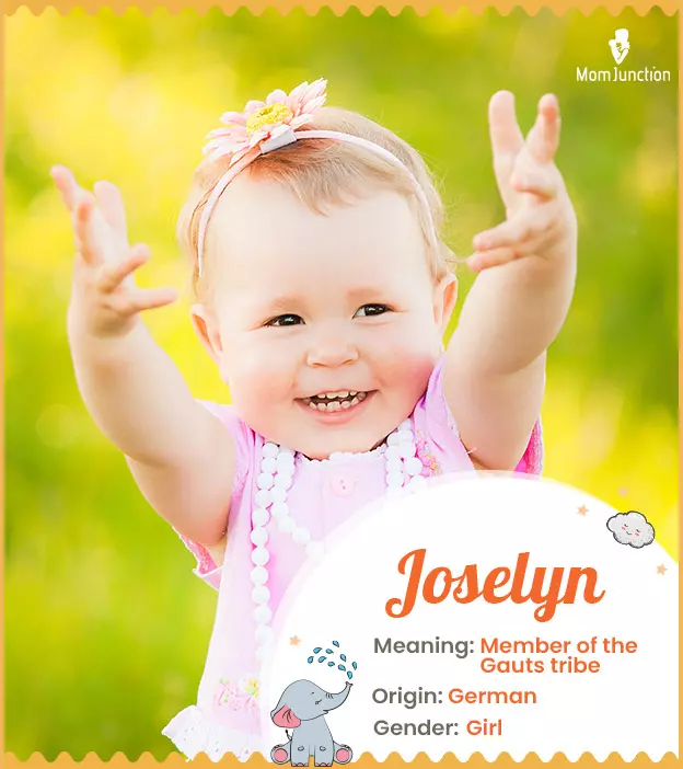 Joselyn Name Meaning, Origin, History, And Popularity_image