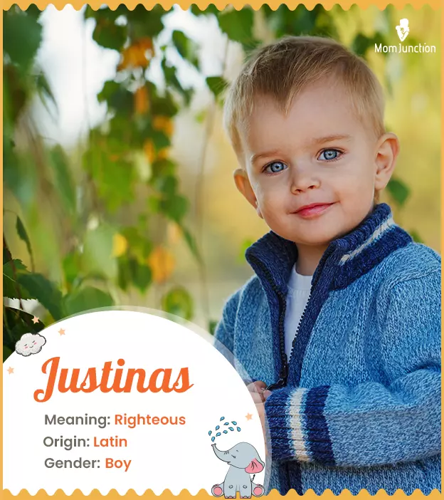 justinas: Name Meaning, Origin, History, And Popularity_image