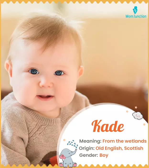 kade: Name Meaning, Origin, History, And Popularity | MomJunction