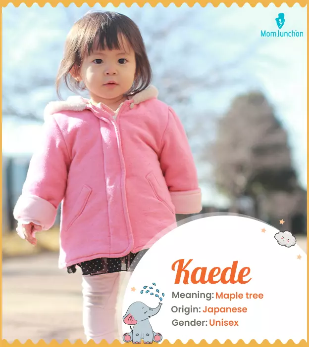 Kaede: Name Meaning