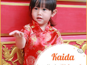 Kaida means little dragon