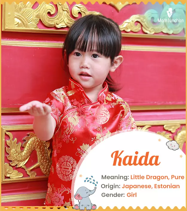 kaida: Name Meaning, Origin, History, And Popularity | MomJunction