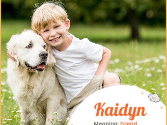 Kaidyn, meaning friend or companion