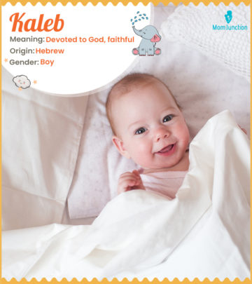 Kaleb, a devoted boy's name of Hebrew origin.
