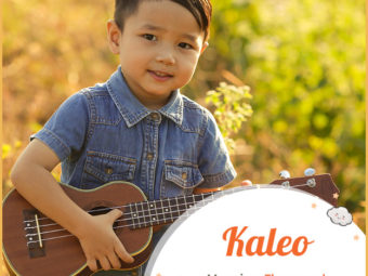 Kaleo meaning The sound or The voice