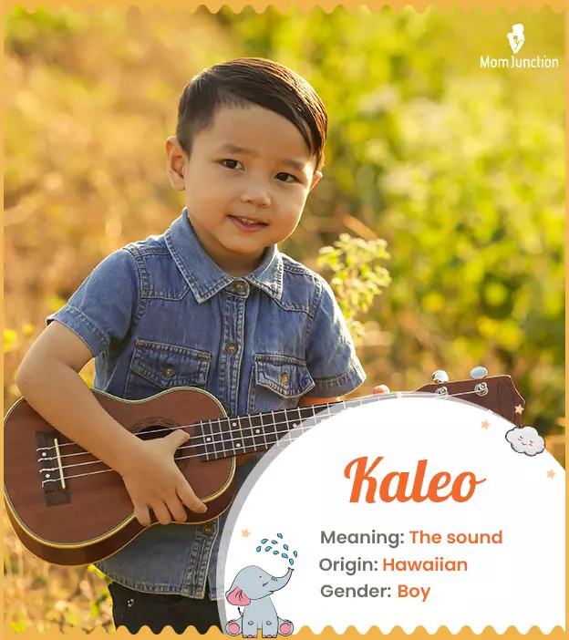 kaleo: Name Meaning, Origin, History, And Popularity | MomJunction