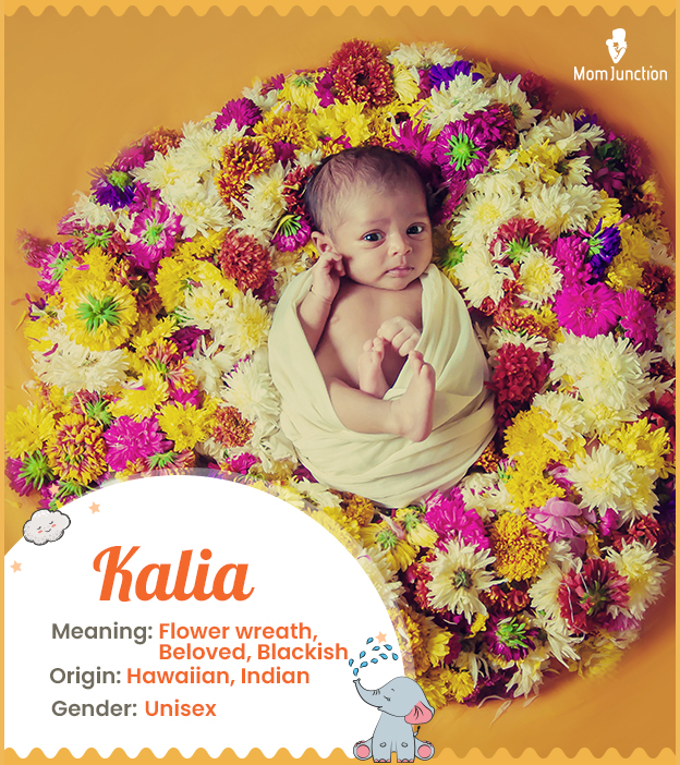 Kalia Name Meaning, Origin, History, And Popularity_image