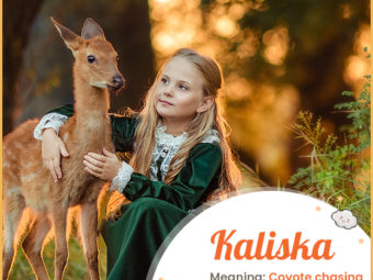 Kaliska means coyote chasing deer