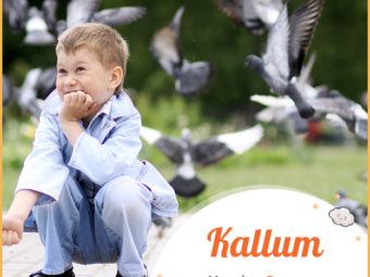 Kallum means dove