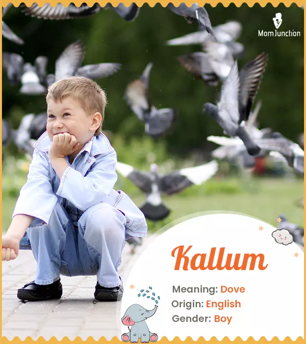 Kalem means dove or pen