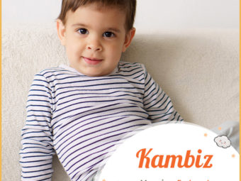 Kambiz, meaning prosperous or fortunate