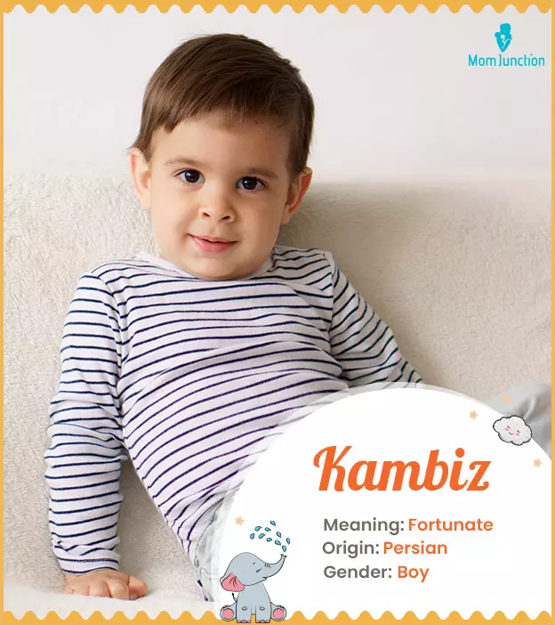 kambiz: Name Meaning, Origin, History, And Popularity | MomJunction