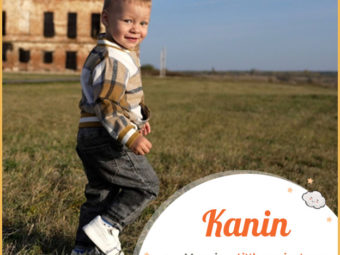 Kanin, meaning the little ancient one or rabbit