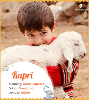 Kapri, the one who decides in a whim