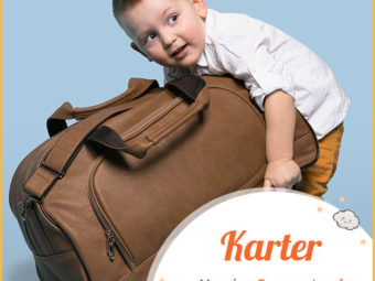 Karter, a transporter of goods