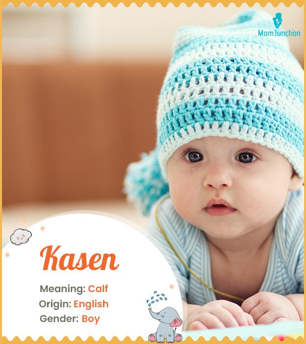 Kasen means calf, en