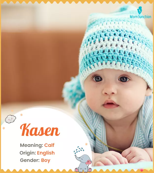 Kasen means calf, en