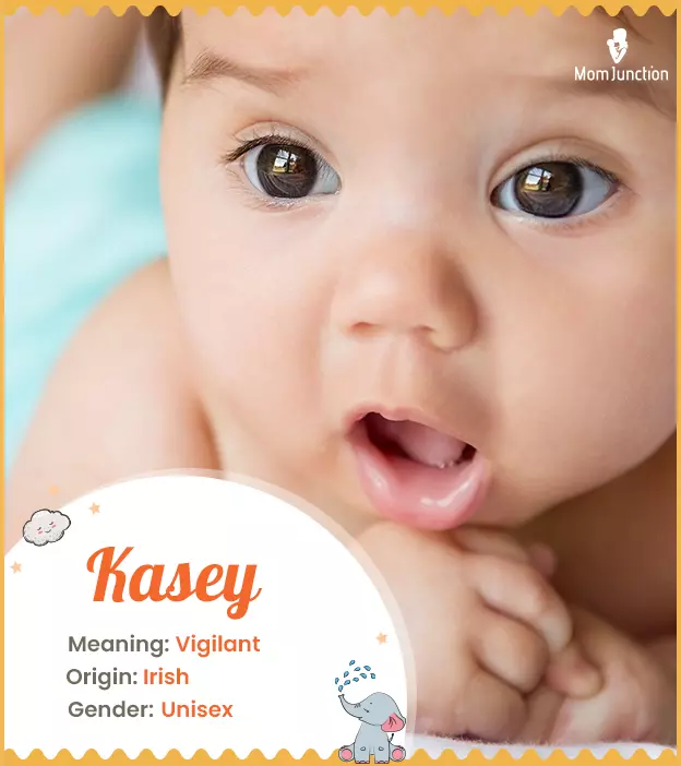 Kasey Name Meaning, Origin, History, And Popularity_image