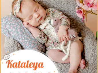 Kataleya, a name meaning pure