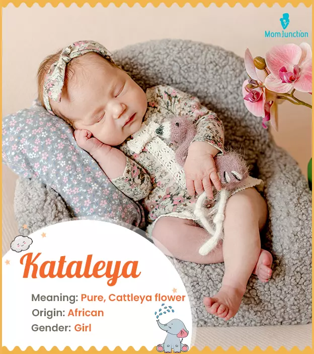 Kataleya, a name mea