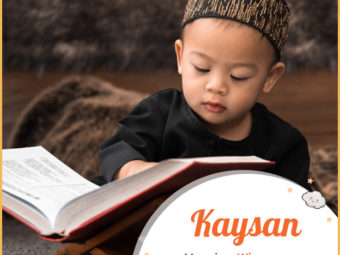 Kaysan means wise