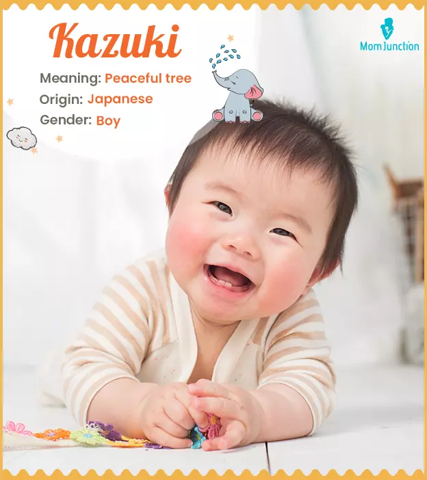 Kazuki Name, Meaning, Origin, History And Popularity_image