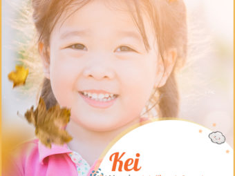 Kei means intelligent