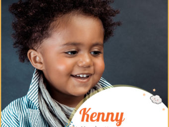 Kenny means handsome