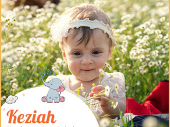 Keziah, means cassia tree, sweet-scented spice, or cinnamon.