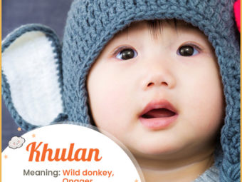 Khulan, a beautiful Mongolian name for your daughter