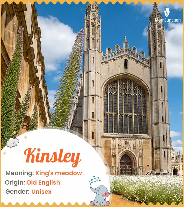 kinsley: Name Meaning, Origin, History, And Popularity_image