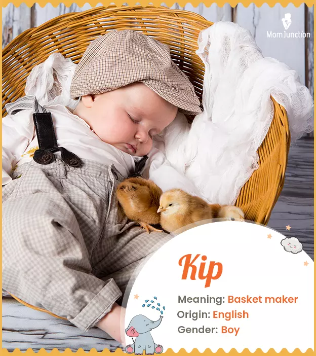 Explore Kip: Meaning, Origin & Popularity | MomJunction