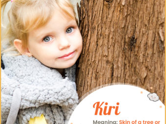 Kiri means skin of a tree or fruit