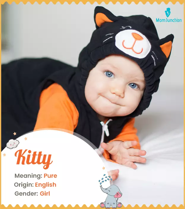 Explore Kitty: Meaning, Origin & Popularity | MomJunction