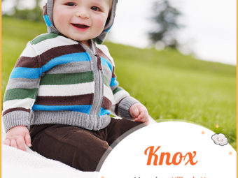 Knox, a Scottish classic