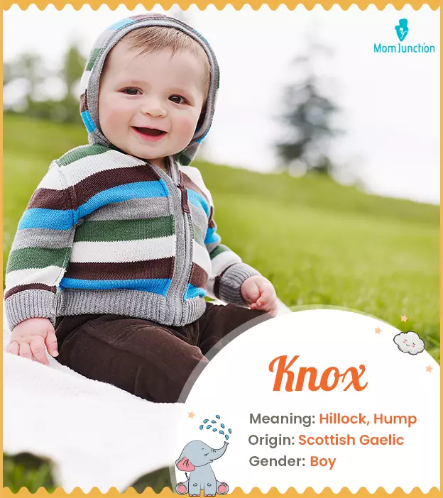 Knox Meaning, Origin, History, And Popularity | MomJunction
