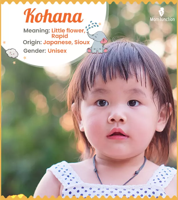 Kohana Meaning, Origin, History, And Popularity | MomJunction