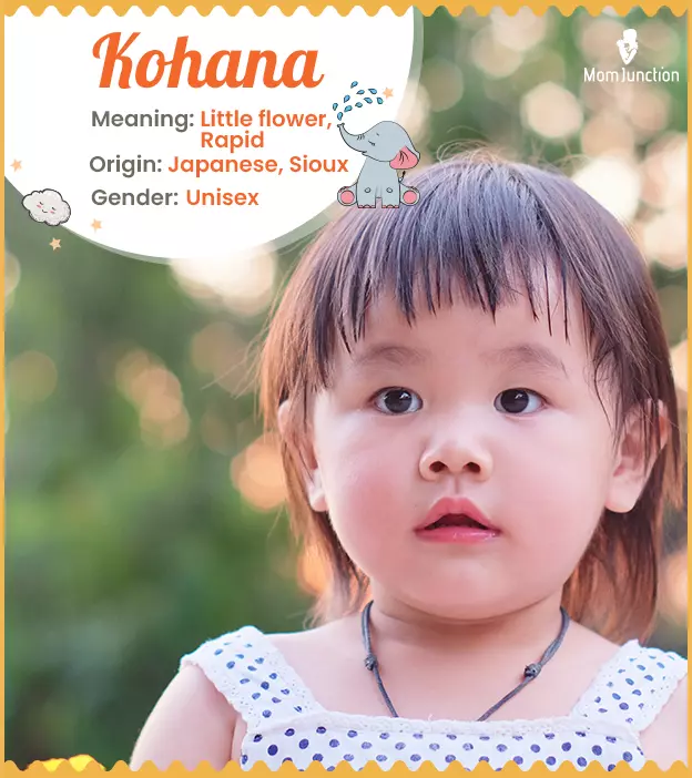 Kohana Meaning, Origin, History, And Popularity_image