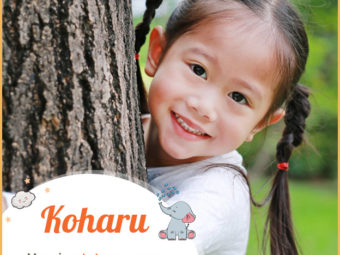 Koharu, one who is young