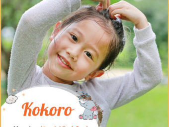 Kokoro meaning heart