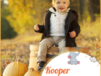 Kooper, meaning barrel maker